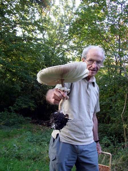 2011 10 02 Baies et champignons 04